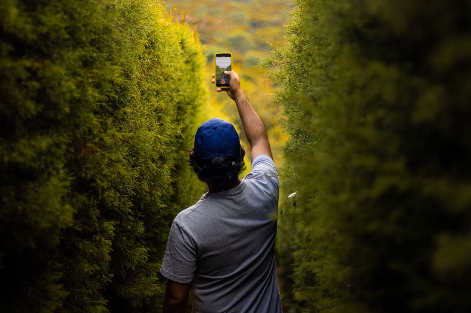 Tour Ruta de las Flores